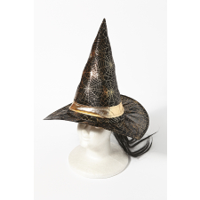 마녀 모자 47