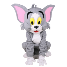 장난기 많은 고양이