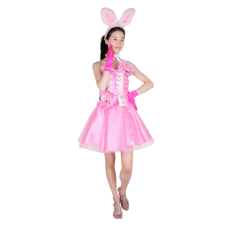 퍼레이드-4 (바니걸)