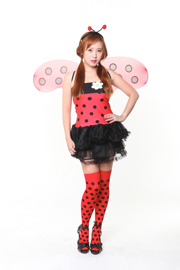 귀여운 무당벌레