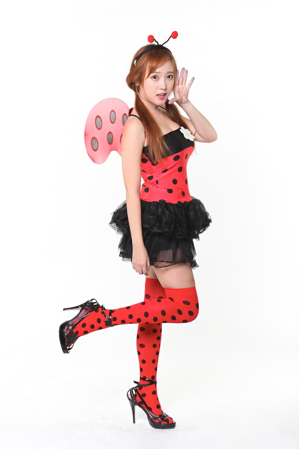 귀여운 무당벌레