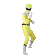 후레시맨-옐로우