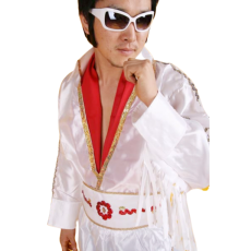 엘비스 프레슬리