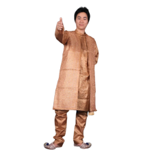 캄보디아-남 골드브라운