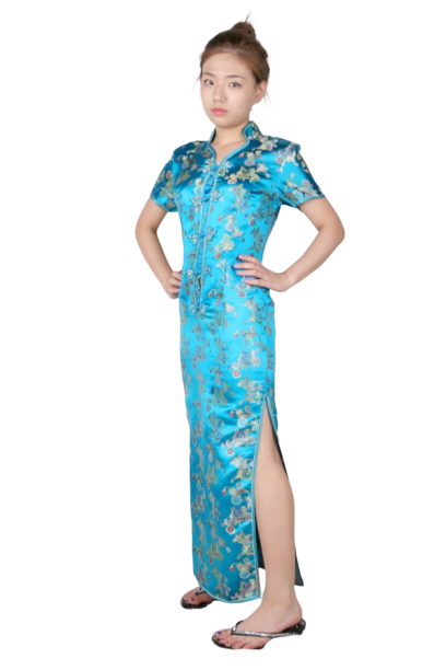 중국-치파오 롱드레스 스카이