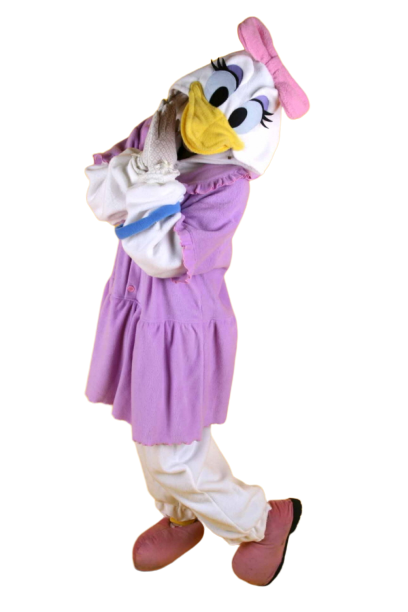 커플도널드데이지