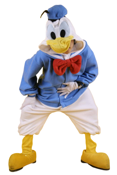 커플도널드데이지