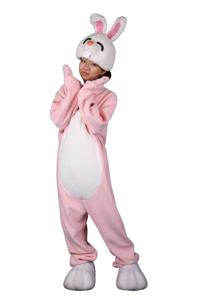 토끼모자탈(핑)