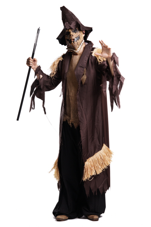 허수아비-피들스틱