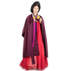 쓰개치마5 (장옷)