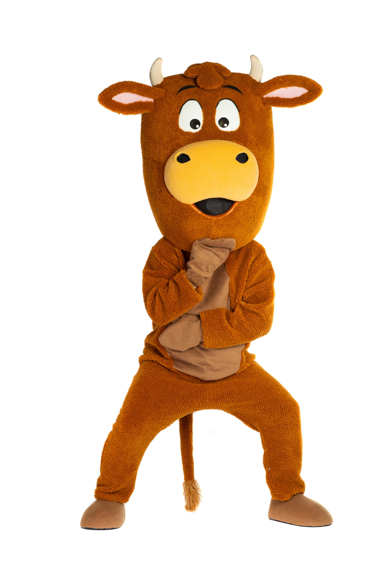 국산 웃긴 한우