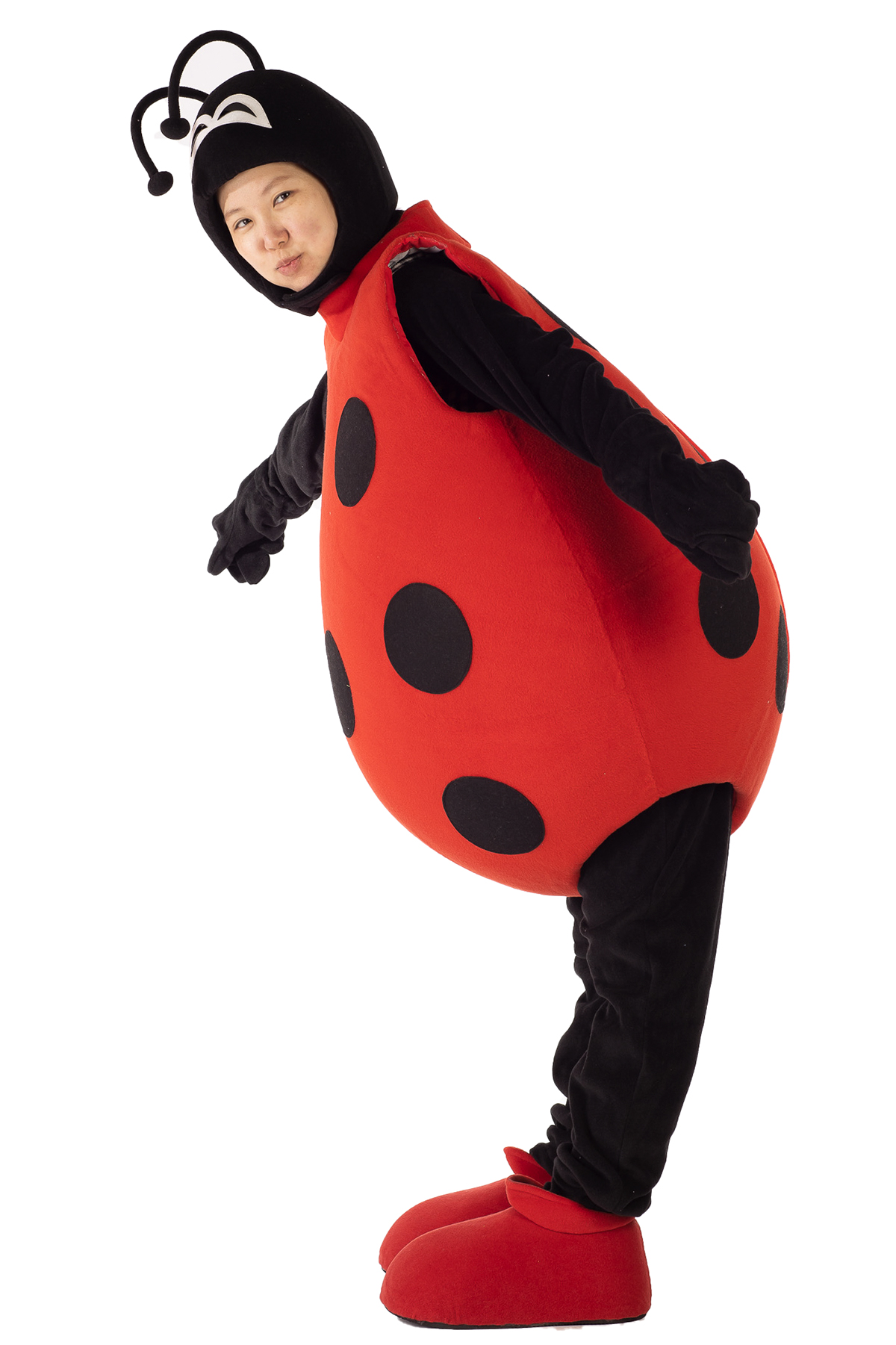 귀여운 무당벌레