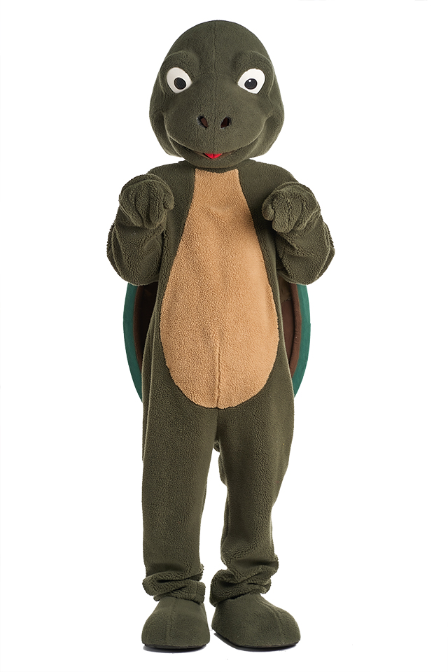 느릿느릿 거북이