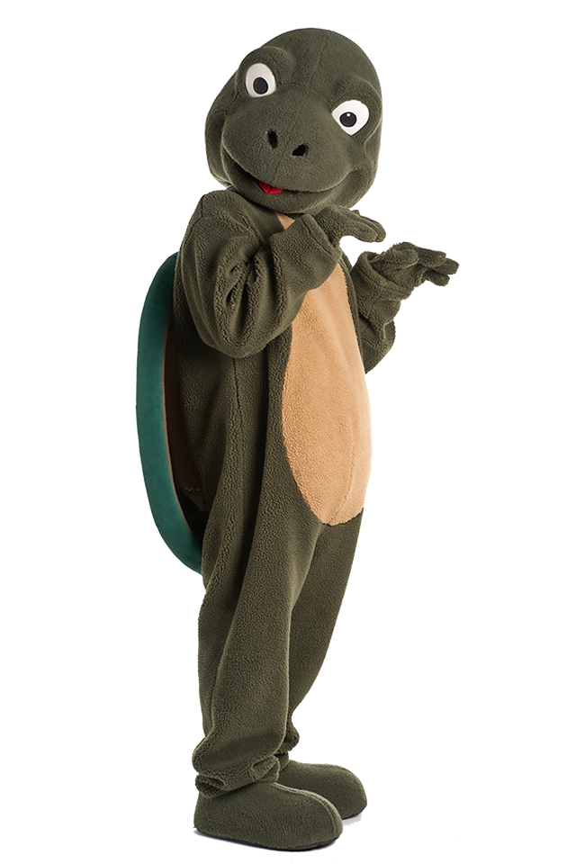 느릿느릿 거북이