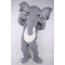 주름코 코끼리